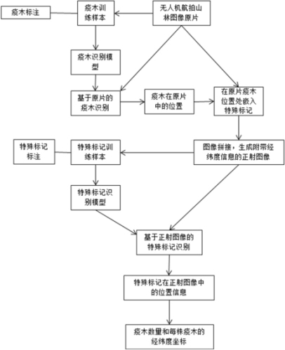 Pine wood nematode disease epidemic wood recognition and positioning method based on an unmanned aerial vehicle aerial photograph original film