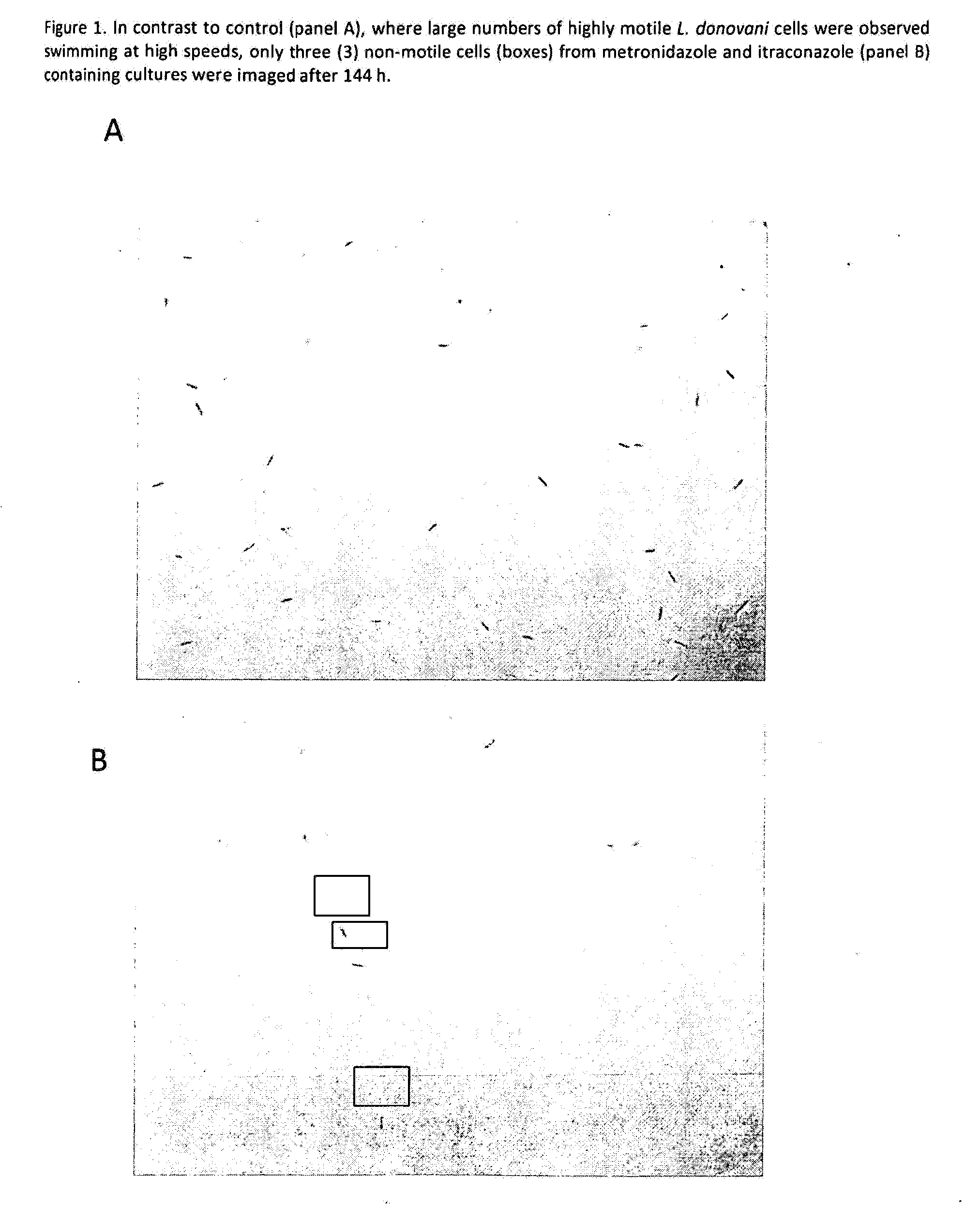 Method for treating a protozoal infection