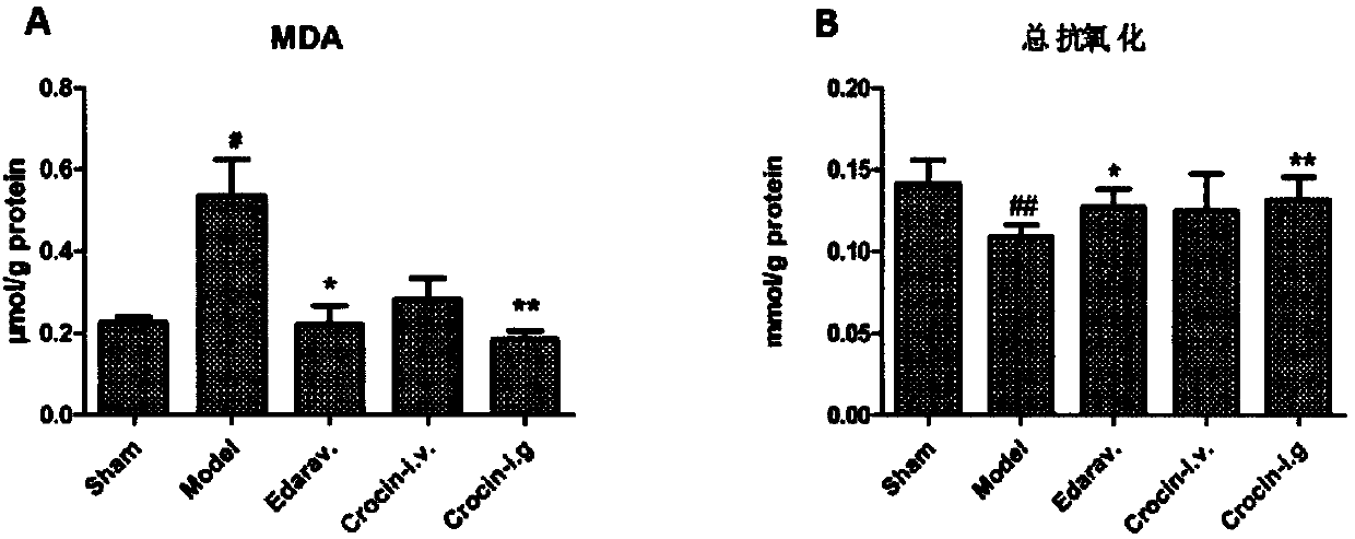 Oral crocin with protecting effect on cerebral ischemia reperfusion injury and application of oral crocin