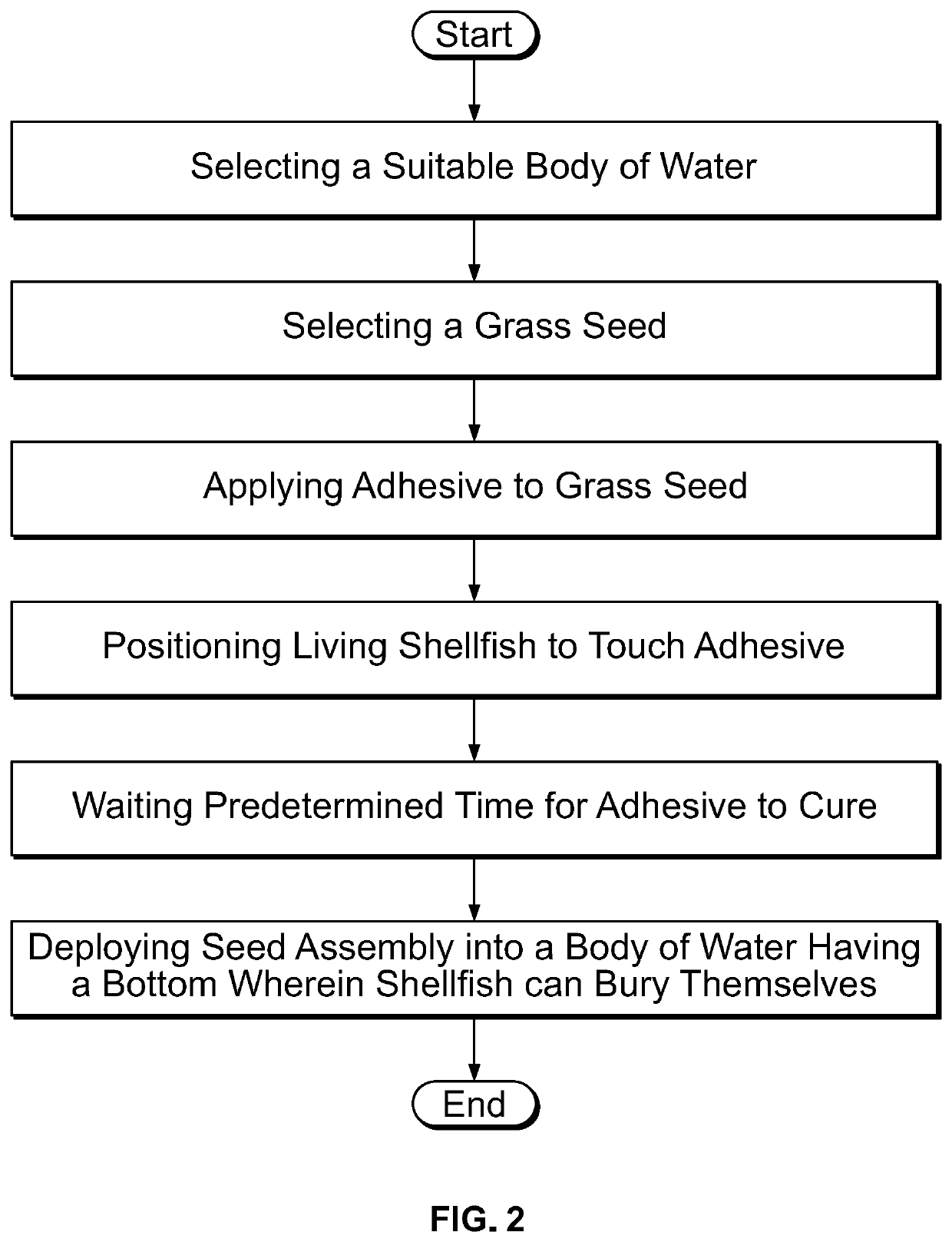 Marine Grass Seed Planting Method