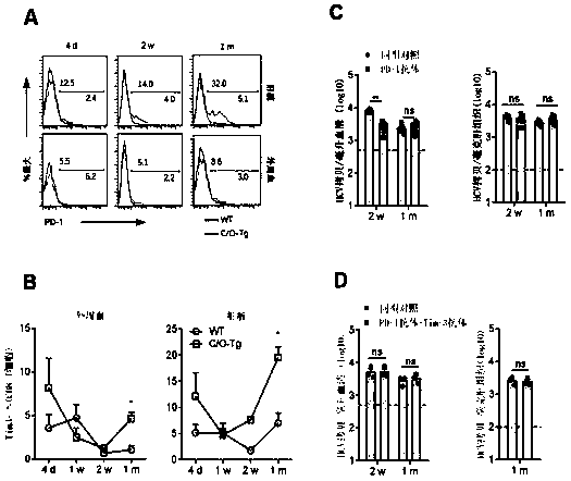 Method for treating infectious diseases by NK (natural killer) targeted immune checkpoints