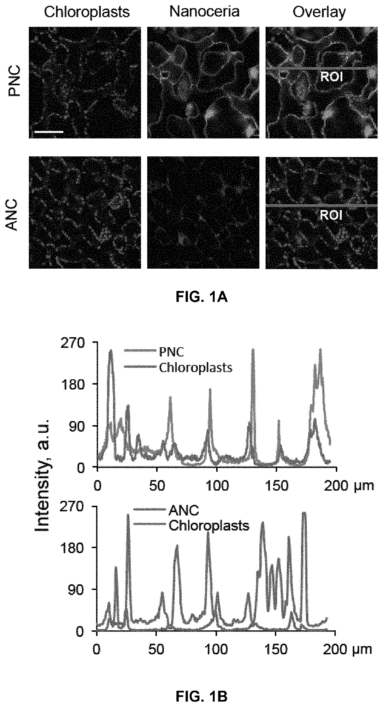 Nanoceria augmentation of plant photosynthesis under abiotic stress