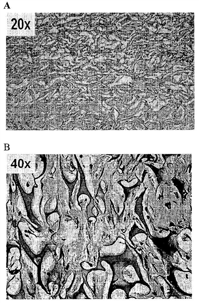 Formulations comprising solvent/detergent treated plasma (s/d plasma) and uses thereof