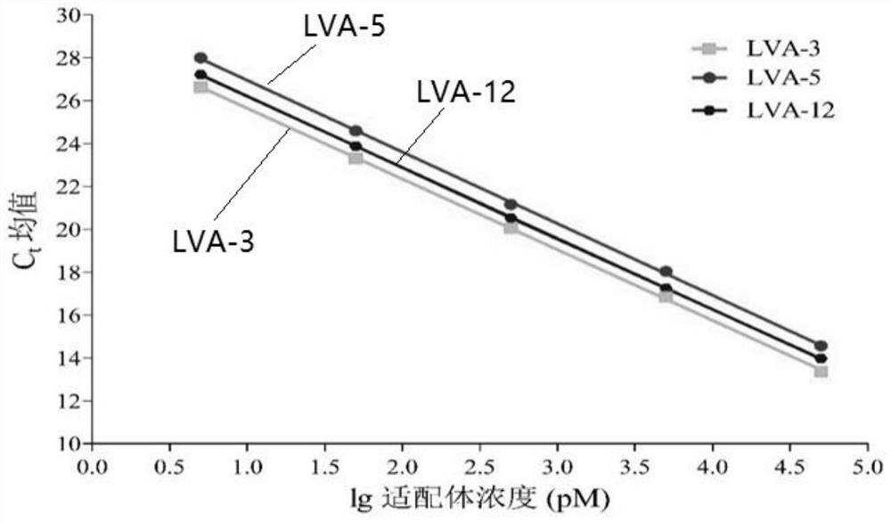 Oligonucleotide aptamer specifically recognizing largemouth bass virus and its screening method and application