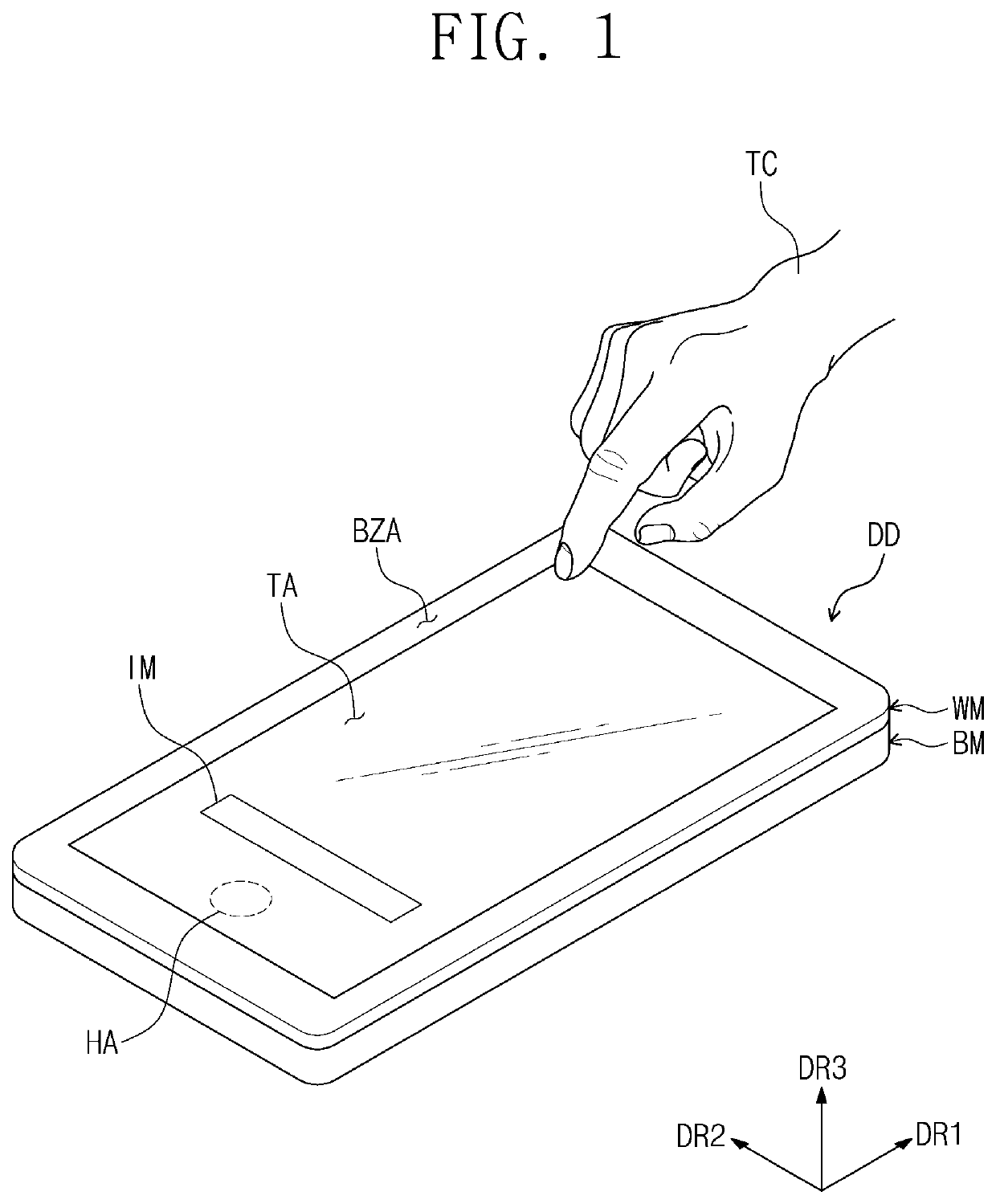 Display device having second electrode including a first portion that is not overlapped with the module hole and a second portion between the module hole and the first portion