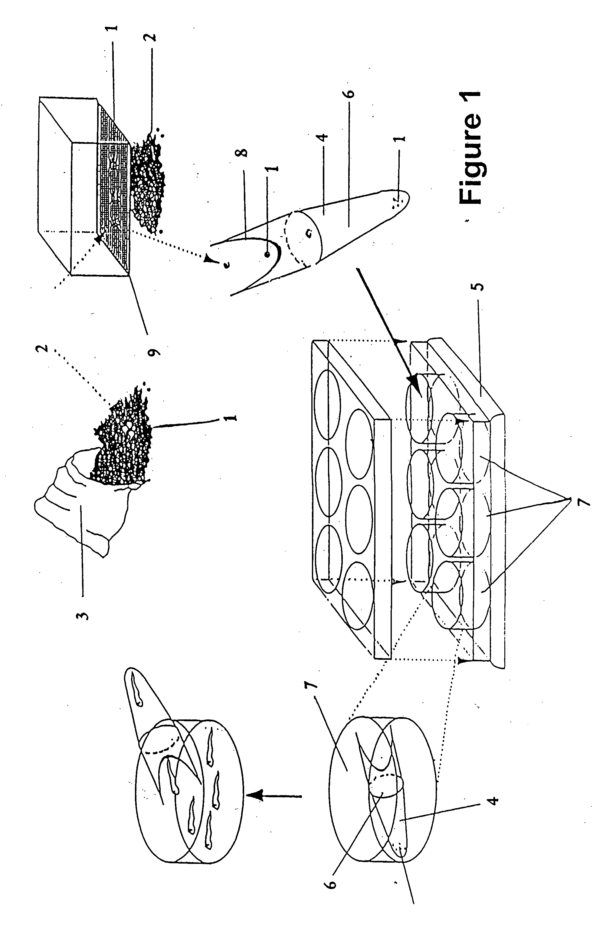 Fish hatching method and apparatus