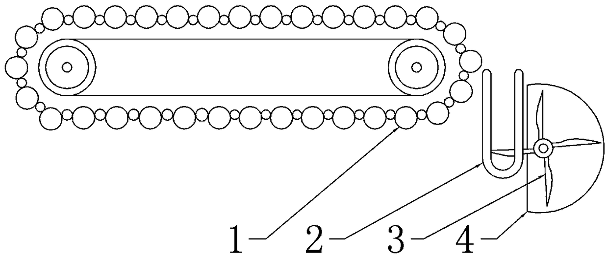 Papaya Directional Conveying Slicer