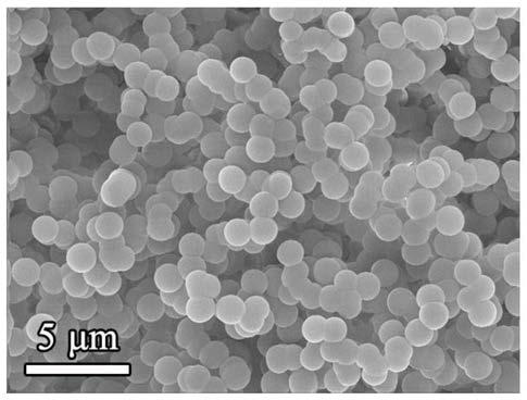 Preparation method and product of red blood cell-shaped hollow carbon