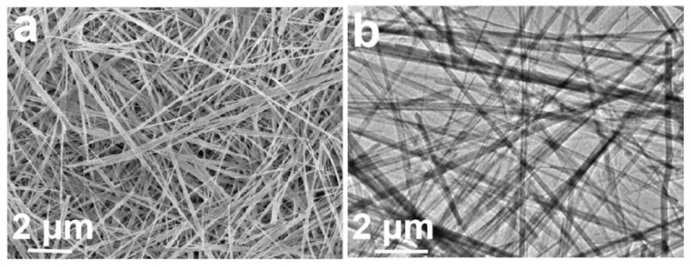 Preparation method of nitrogen and oxygen co-doped carbon nanofiber material, product and application