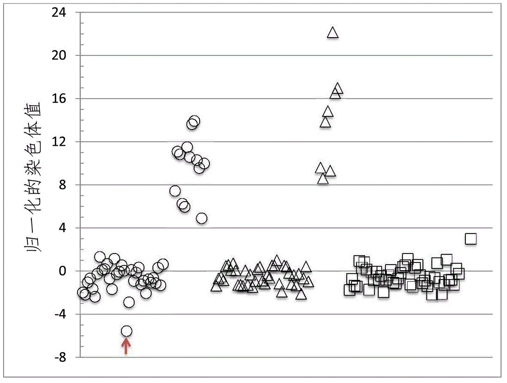 Normalizing chromosomes for the determination and verification of common and rare chromosomal aneuploidies