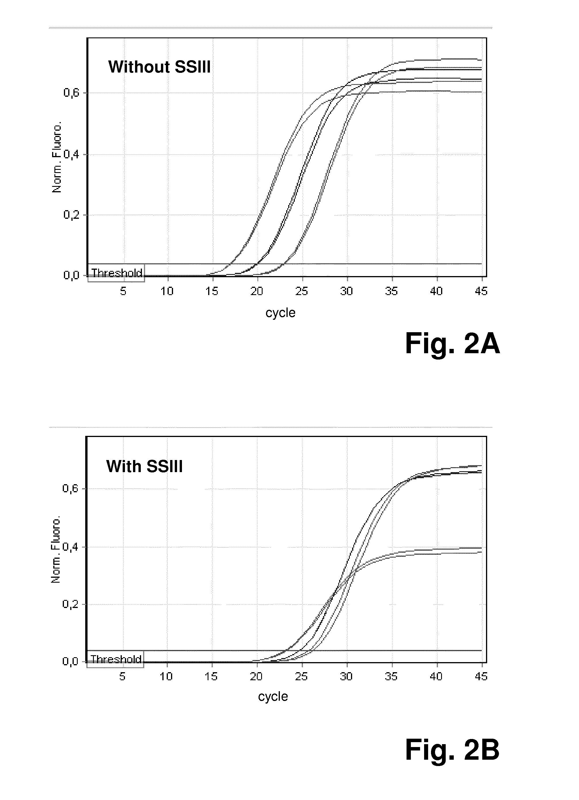 Nucleic acid detection and quantification