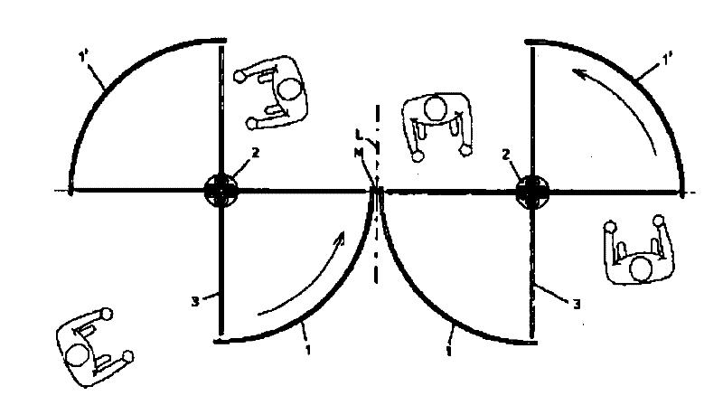 Twin revolving door with wide passage