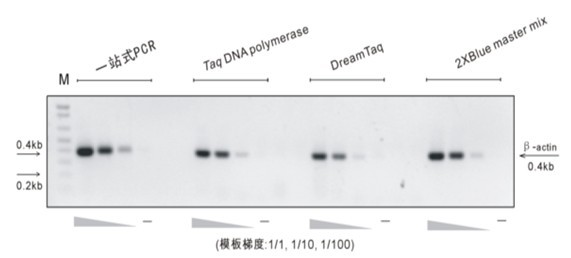 One-stop PCR (Polymerase Chain Reaction) method