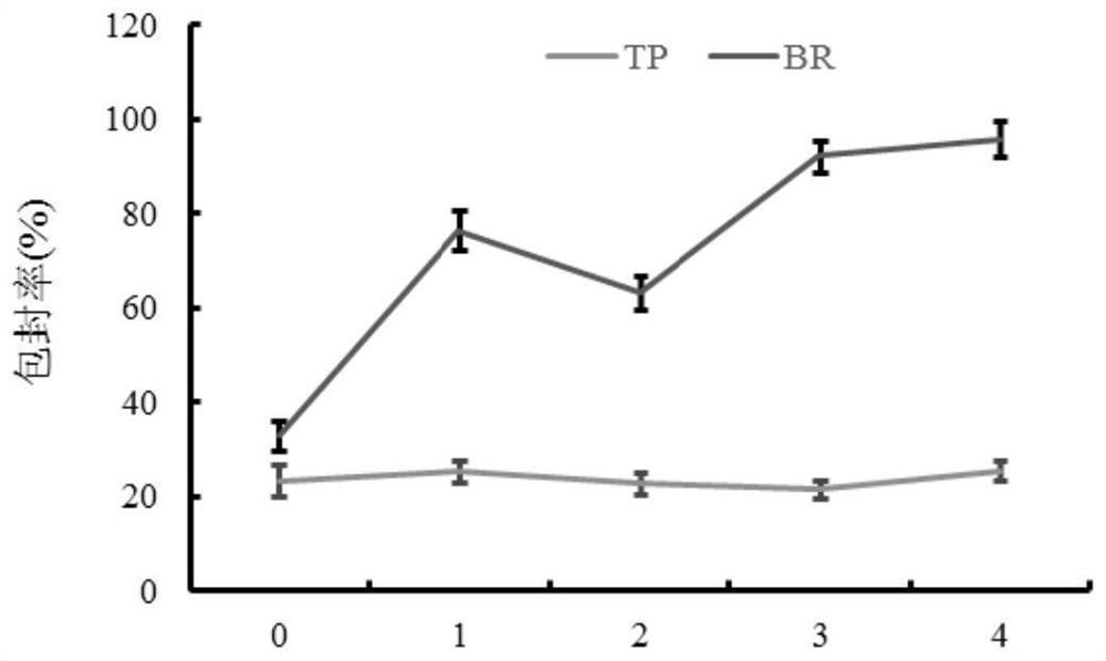 Preparation method of triptolide and berberine co-loaded nano-liposome with brain targeting function