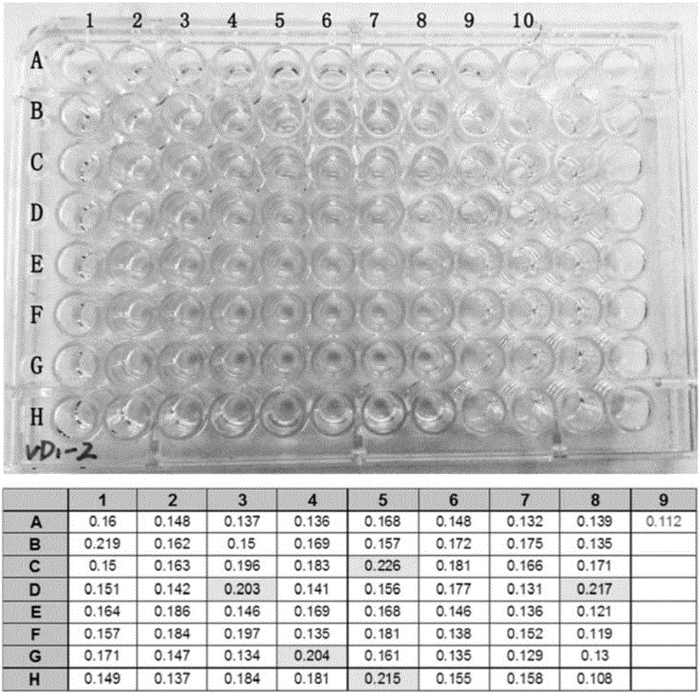 Vitamin D binding peptide and application thereof