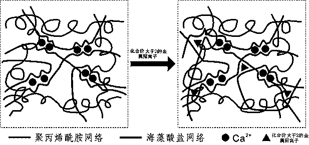 A method to enhance the rigidity and self-healing properties of tough hydrogels