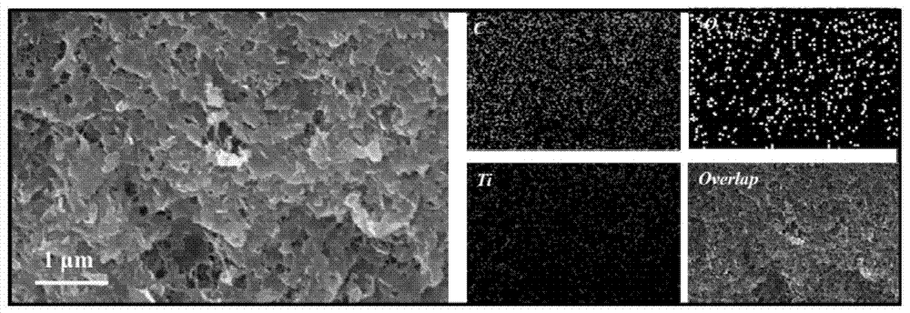 Adsorption photocatalytic hydrogel material and application thereof in synergistic photocatalytic sewage hydrogen generation capable of reversing heavy metal pollution