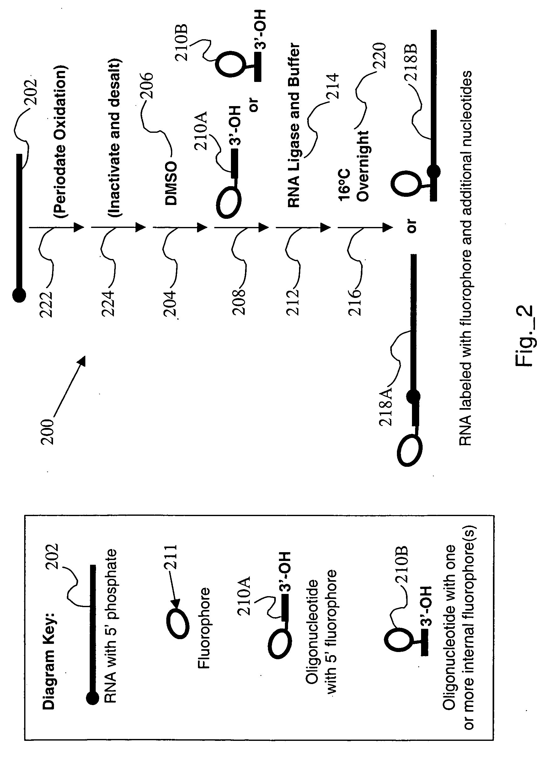 RNA labeling method