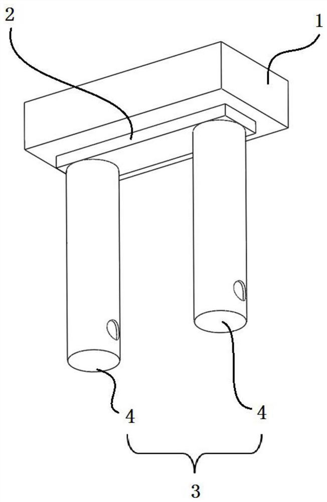 A root correction mechanism for shallow aquatic or moisture-loving plants
