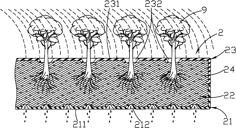 Planting medium