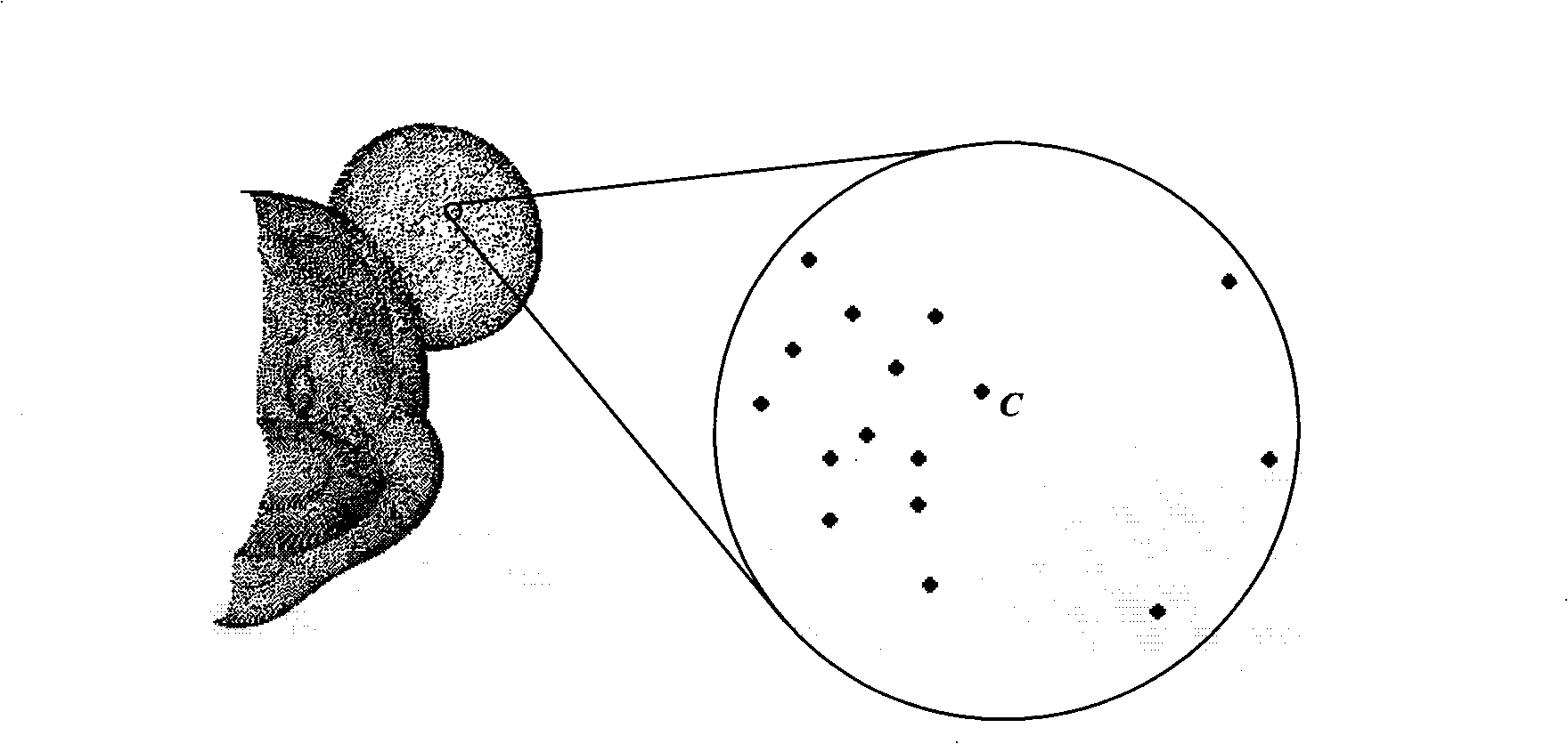 Three-dimensional dispersion point cloud topological neighbor data query method