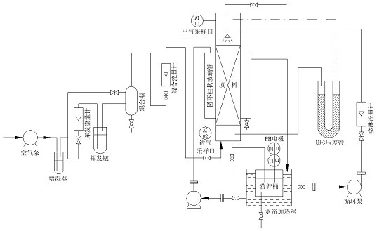 Domestication and breeding method of tetrahydrofuran efficient degradation strain