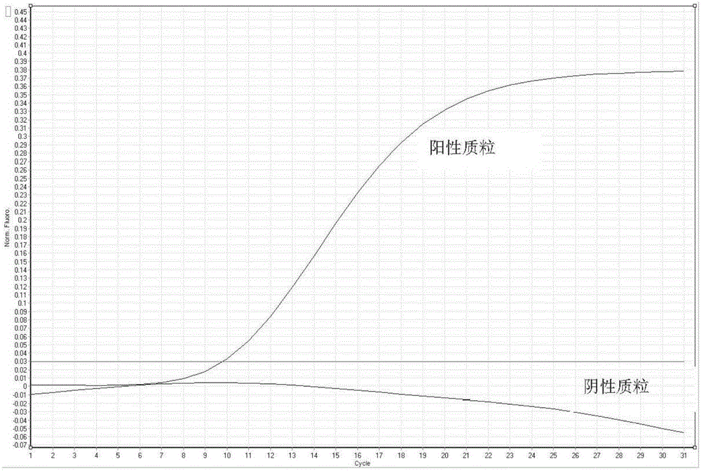 Composition and kit for detecting c-MET gene exon 14 skip mutation