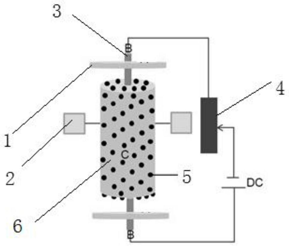 A device and method for removing heavy metal complexes from biogas slurry