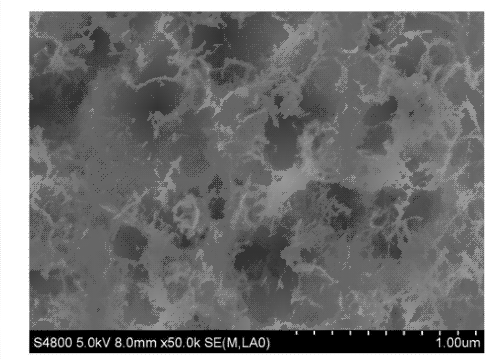 Gamma-alumina particles and method for manufacturing same