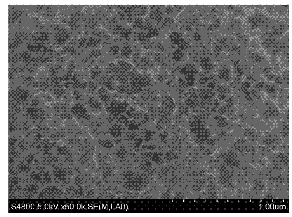 Gamma-alumina particles and method for manufacturing same