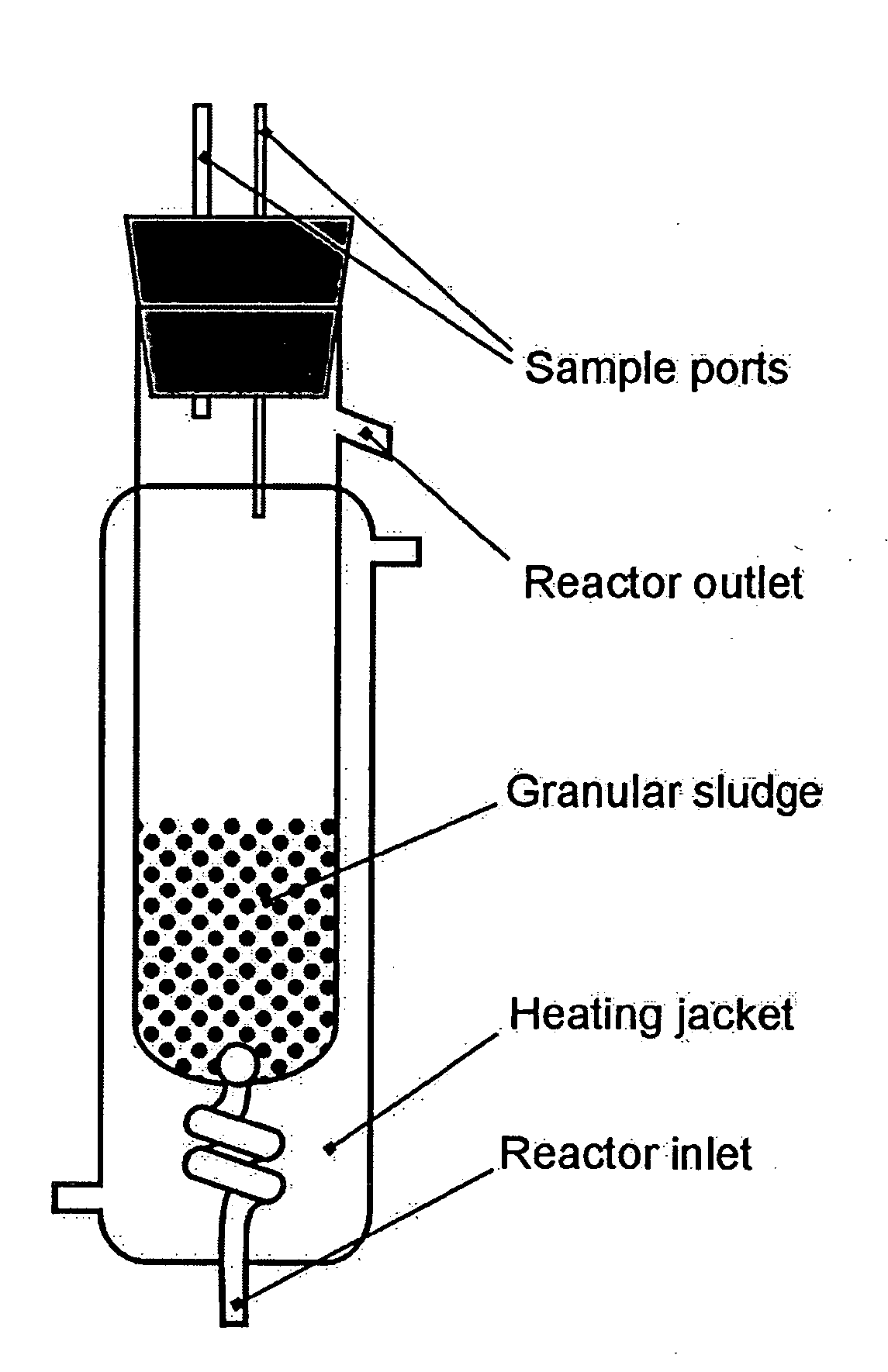 Production of fermentation products in biofilm reactors using microorganisms immobilised on sterilised granular sludge