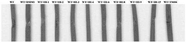 A kind of (s)-1,3-thiazole phenylfuryl thiocarbamate compound and its preparation method and application