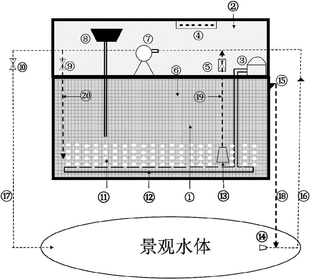 Water body purification method and system