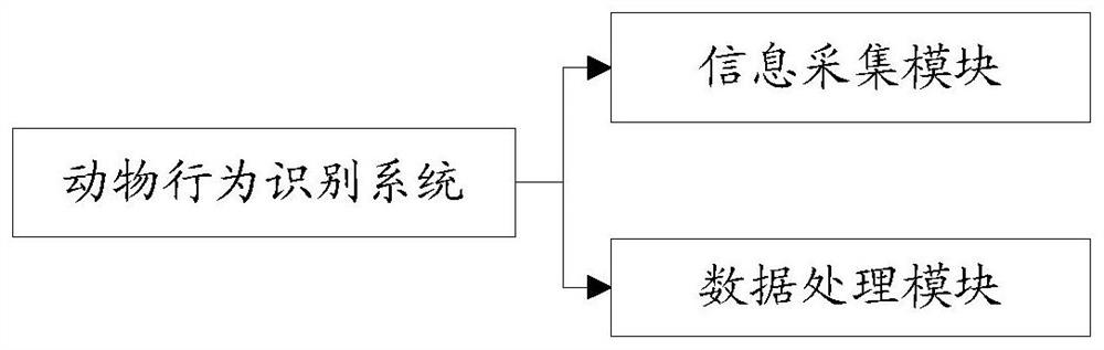 Motion state recognition method and system, animal behavior recognition system