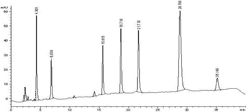 Preparation method, detection method and application of probe drug composition for determination of metabolic activity of cytochrome P450