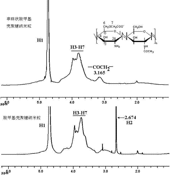 Bead-shaped amphipathic nano particle as well as preparation method and application thereof