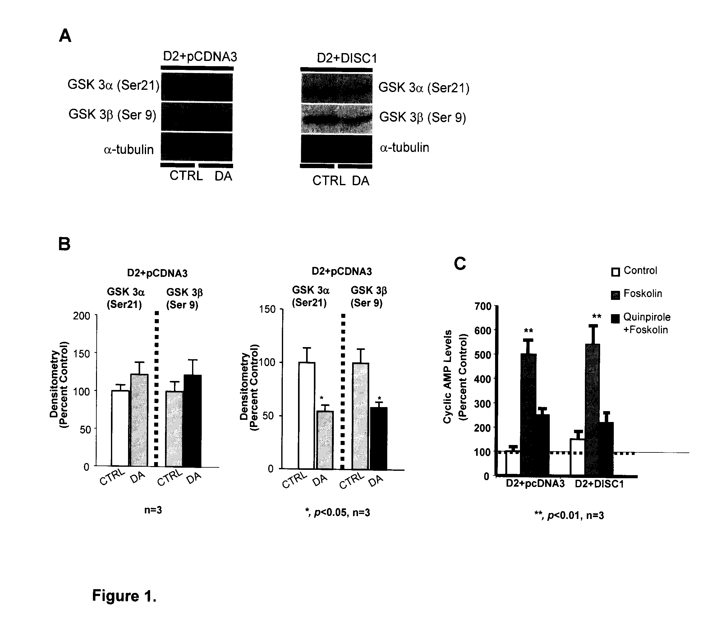 Dopamine d2 receptor-disc1 interaction, compositions and methods for modulating same