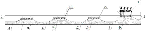 Nitrification, denitrification and denitrification natural advection ecosystem and construction method for rivers or ponds