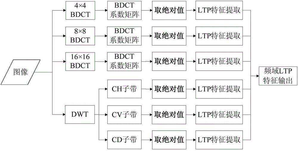 Digital image splicing passive detection method based on frequency domain local statistic model