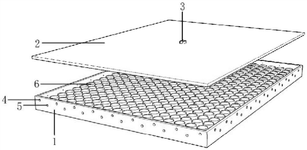 Mold for processing latex mattress and mattress processed by using mold