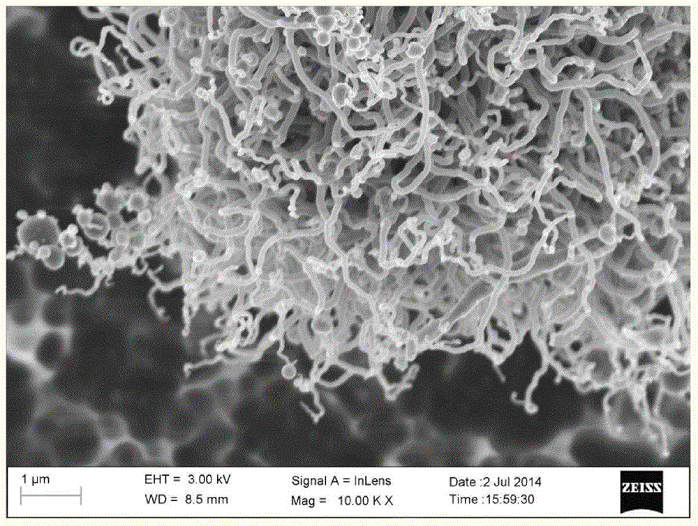 Method for preparing multiwalled carbon nanotube through microwave enhanced fast pyrolysis of biomass and/or carbonaceous organic waste