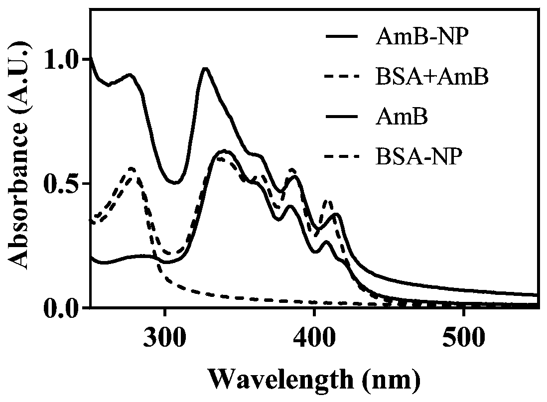 Amphotericin B albumin nanometer preparation and preparation method and application thereof