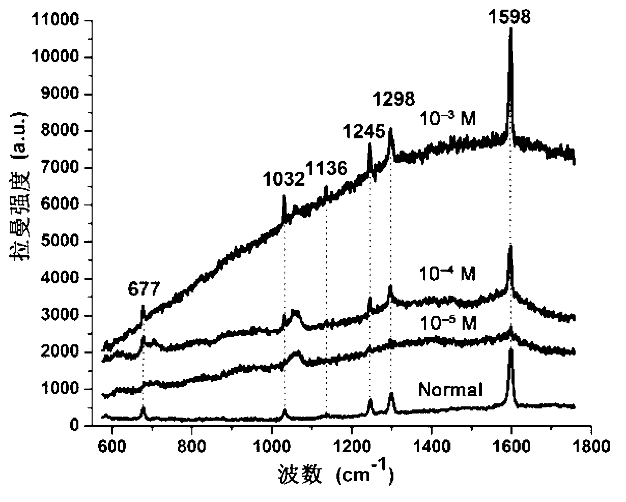 Silver nanometer column array erected on orifice of porous alumina template and preparation method and application thereof