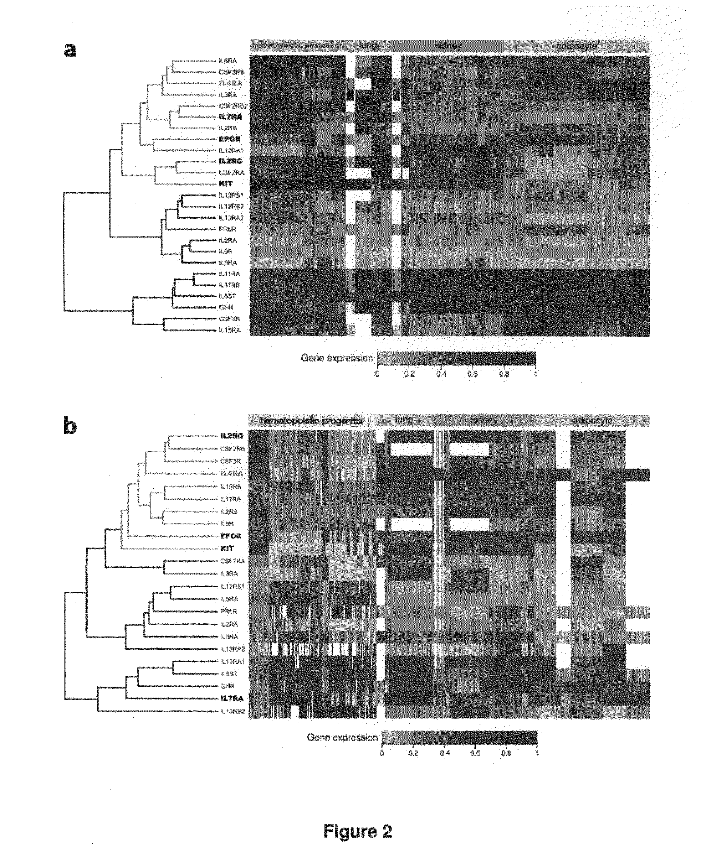 Modulation of kit signaling and hematopoietic cell development by IL-4 receptor modulation