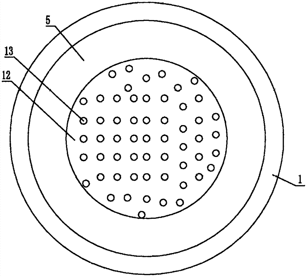 Gynecological fumigating device