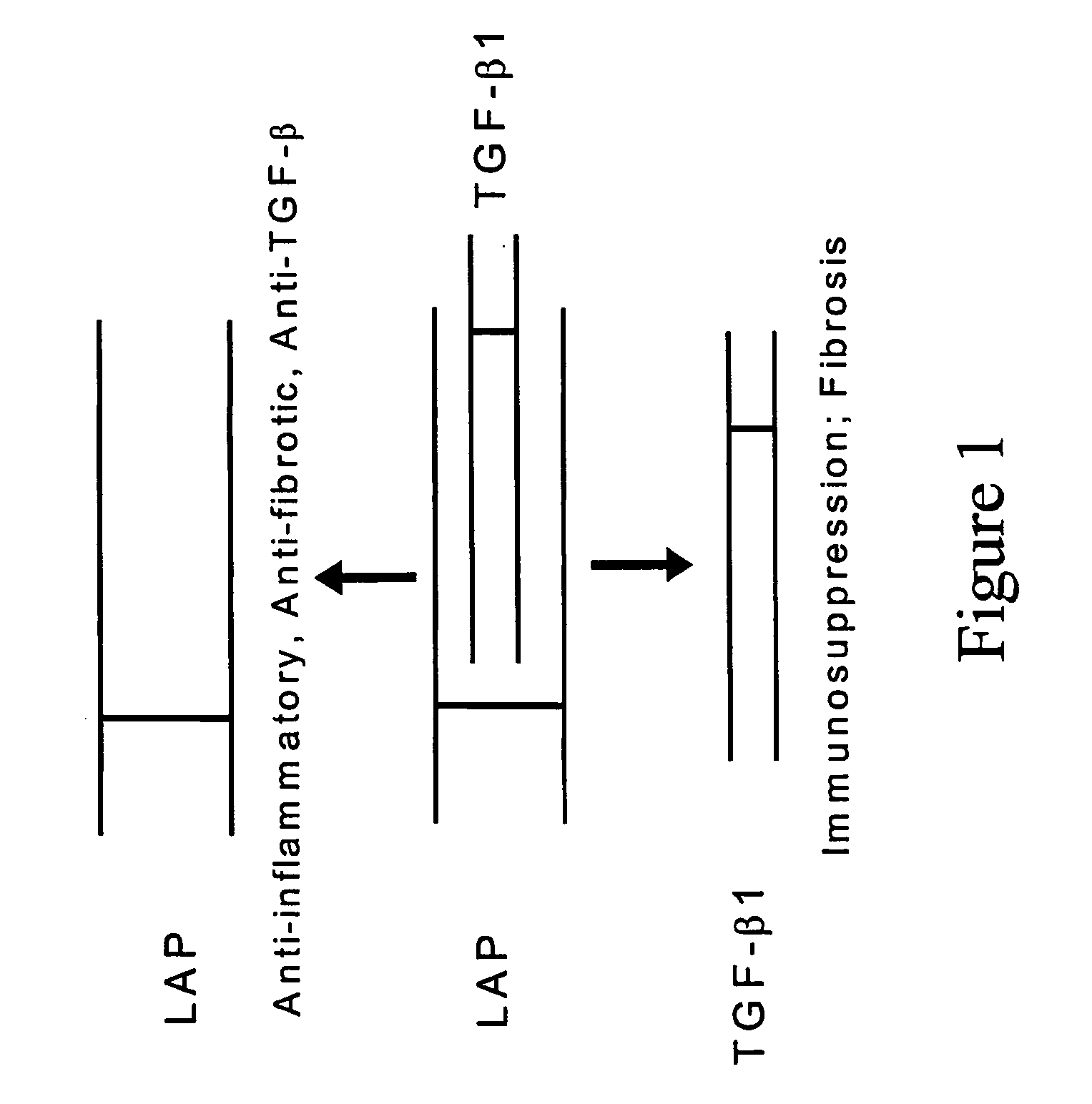 Methods and reagents for treating inflammation and fibrosis