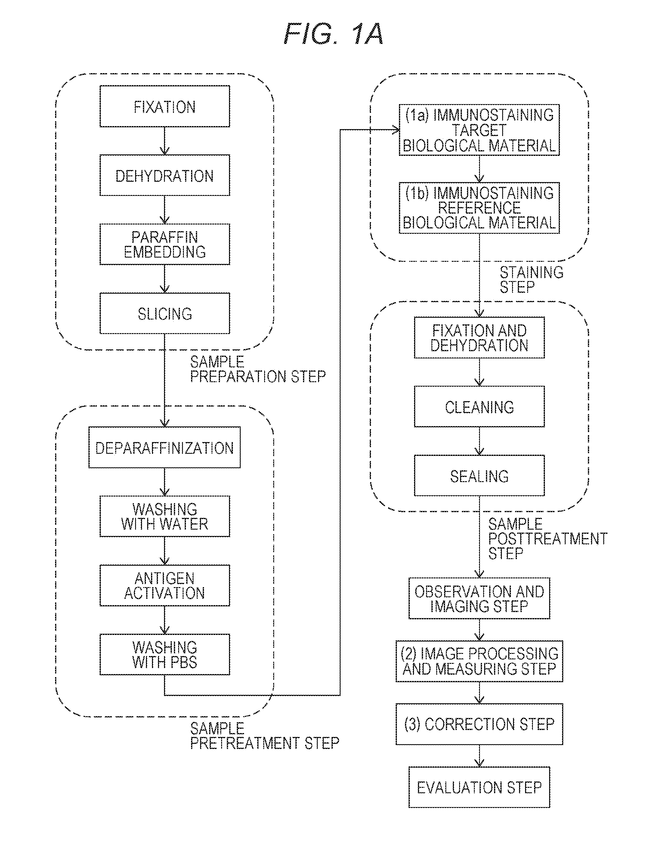 Method for quantifying biological material based on multiple immunostaining