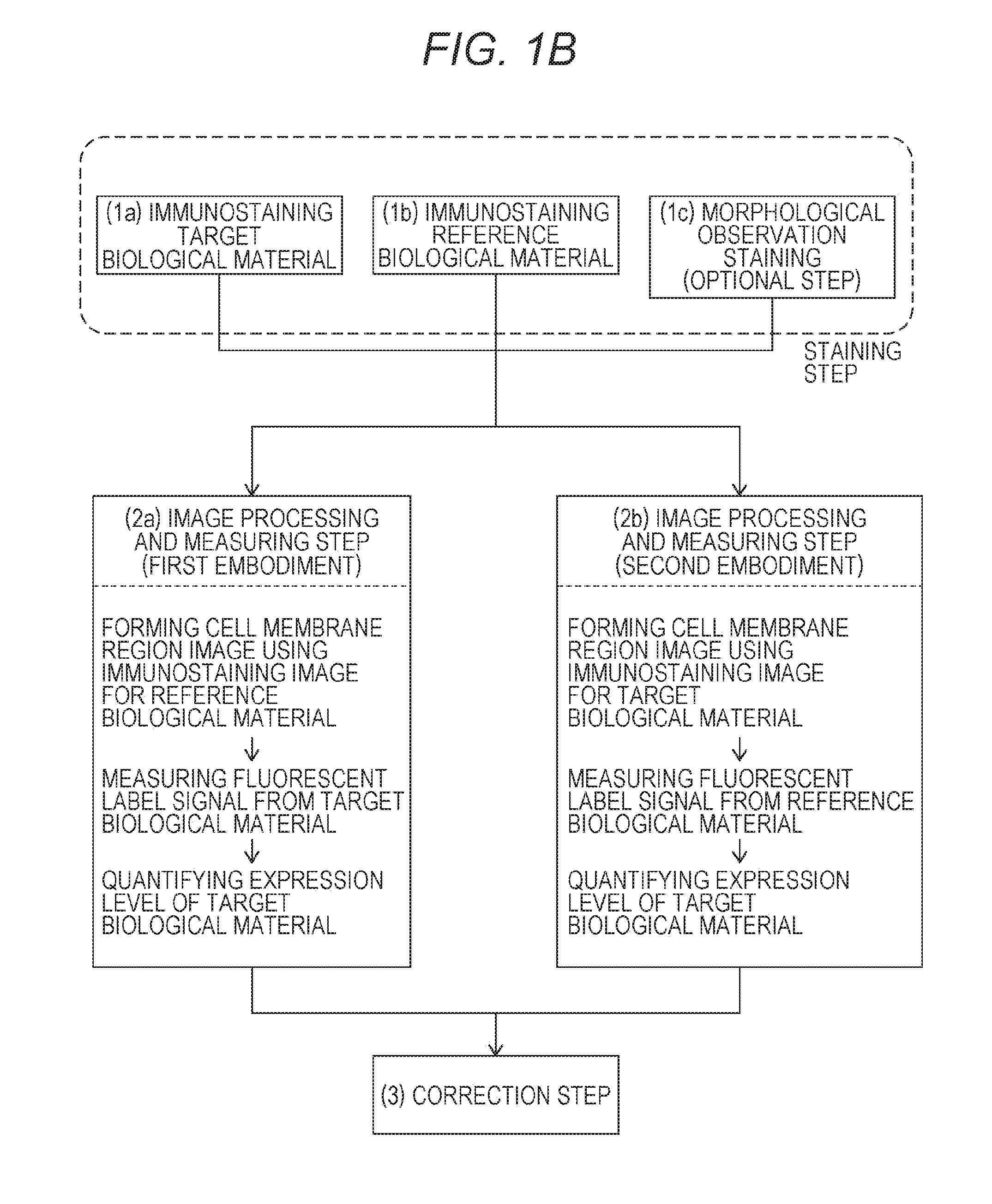 Method for quantifying biological material based on multiple immunostaining