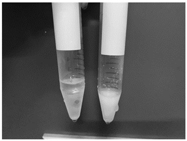 Ice-crystal-free low-temperature preservation method in supercooled state and ice-crystal-free low-temperature recovery method in supercooled state