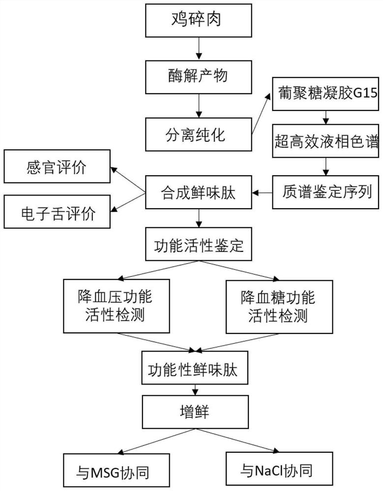 A kind of umami peptide and its preparation method and application